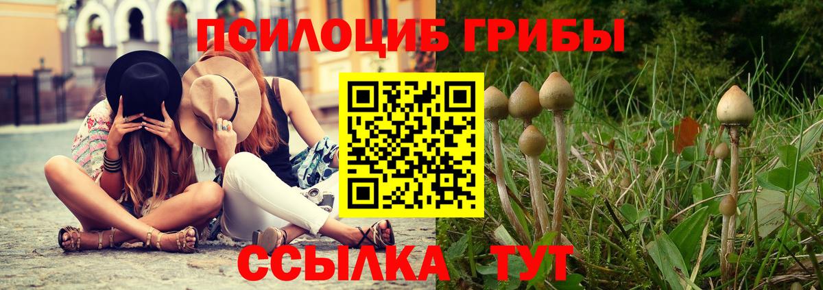 Галлюциногенные грибы MAGIC MUSHROOMS Серов