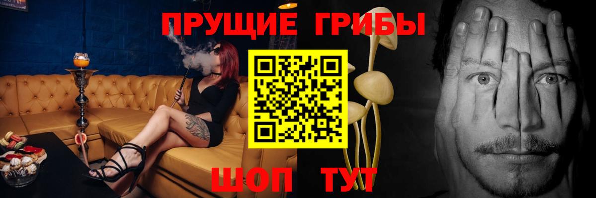 Серов  Псилоцибиновые грибы MAGIC MUSHROOMS  Вход с VPN 